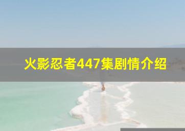 火影忍者447集剧情介绍