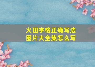 火田字格正确写法图片大全集怎么写