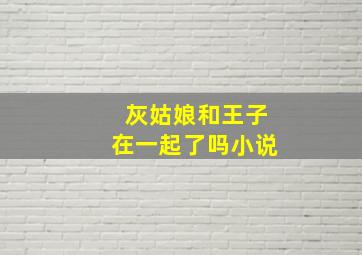 灰姑娘和王子在一起了吗小说