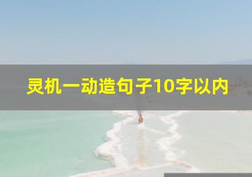 灵机一动造句子10字以内