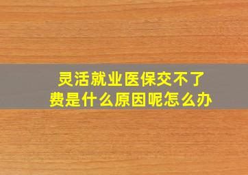 灵活就业医保交不了费是什么原因呢怎么办