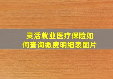 灵活就业医疗保险如何查询缴费明细表图片