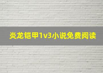 炎龙铠甲1v3小说免费阅读