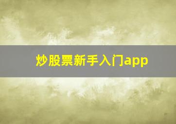 炒股票新手入门app