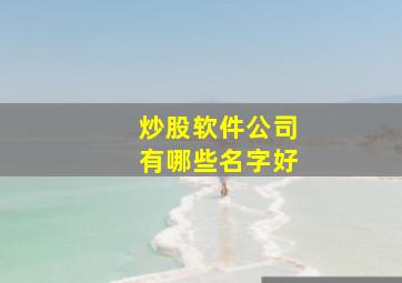 炒股软件公司有哪些名字好