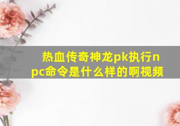 热血传奇神龙pk执行npc命令是什么样的啊视频