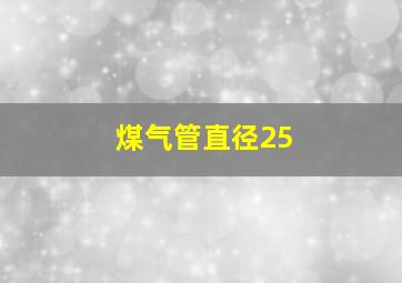 煤气管直径25