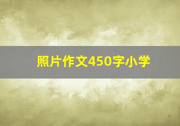 照片作文450字小学