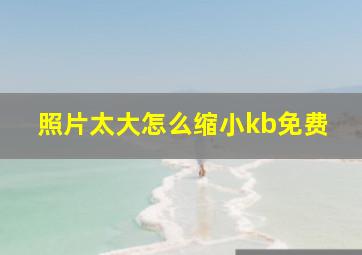 照片太大怎么缩小kb免费