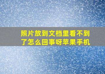 照片放到文档里看不到了怎么回事呀苹果手机