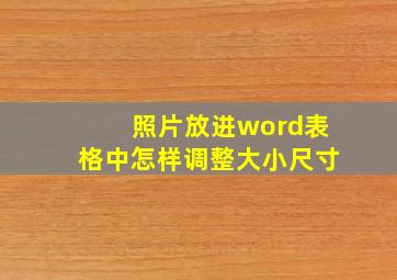 照片放进word表格中怎样调整大小尺寸