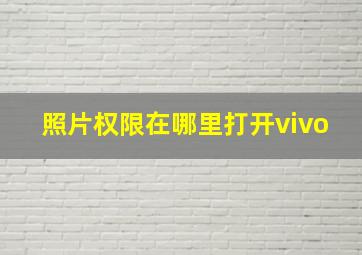 照片权限在哪里打开vivo