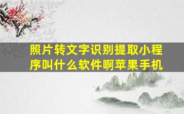 照片转文字识别提取小程序叫什么软件啊苹果手机