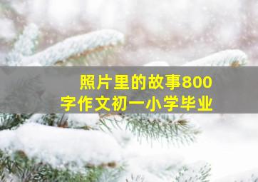 照片里的故事800字作文初一小学毕业