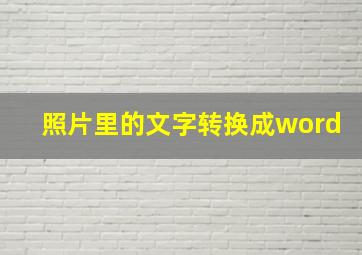 照片里的文字转换成word