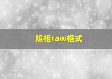 照相raw格式