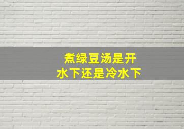 煮绿豆汤是开水下还是冷水下