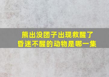 熊出没团子出现救醒了昏迷不醒的动物是哪一集