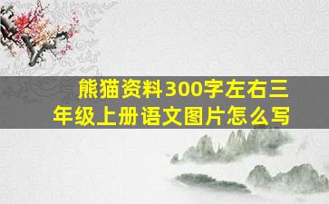 熊猫资料300字左右三年级上册语文图片怎么写