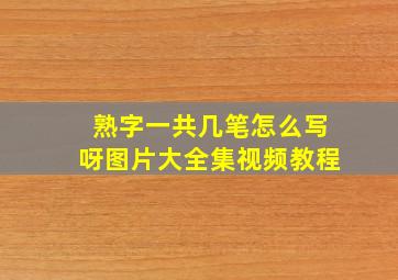 熟字一共几笔怎么写呀图片大全集视频教程