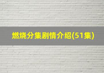 燃烧分集剧情介绍(51集)