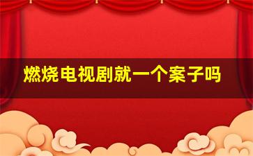 燃烧电视剧就一个案子吗