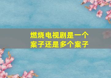 燃烧电视剧是一个案子还是多个案子