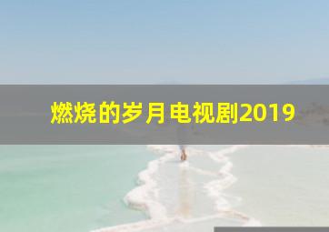 燃烧的岁月电视剧2019