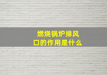 燃烧锅炉排风口的作用是什么