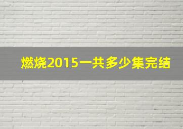 燃烧2015一共多少集完结