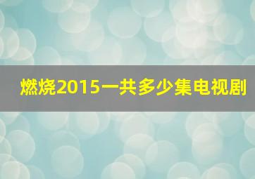 燃烧2015一共多少集电视剧