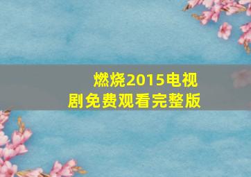 燃烧2015电视剧免费观看完整版