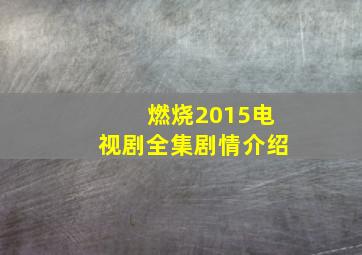 燃烧2015电视剧全集剧情介绍