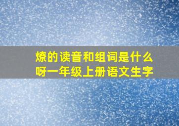 燎的读音和组词是什么呀一年级上册语文生字