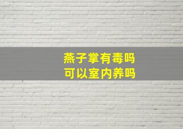 燕子掌有毒吗 可以室内养吗