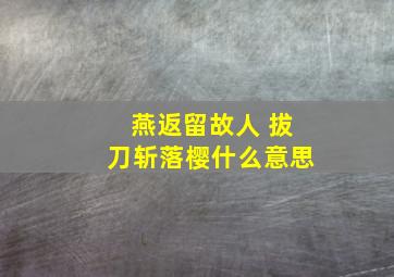 燕返留故人 拔刀斩落樱什么意思