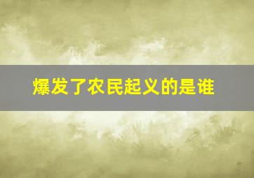 爆发了农民起义的是谁