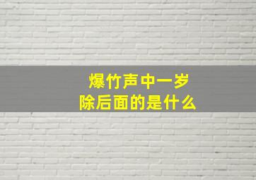 爆竹声中一岁除后面的是什么