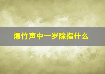 爆竹声中一岁除指什么