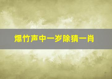 爆竹声中一岁除猜一肖