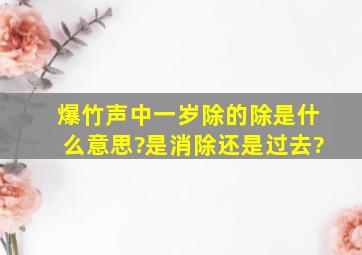 爆竹声中一岁除的除是什么意思?是消除还是过去?