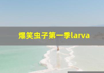 爆笑虫子第一季larva