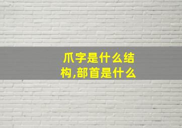 爪字是什么结构,部首是什么