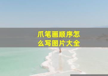 爪笔画顺序怎么写图片大全