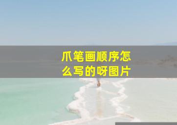 爪笔画顺序怎么写的呀图片