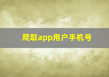 爬取app用户手机号