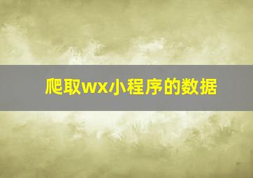 爬取wx小程序的数据