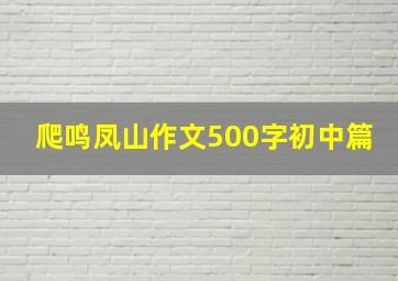 爬鸣凤山作文500字初中篇