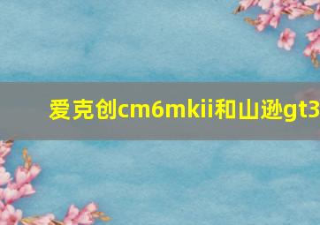 爱克创cm6mkii和山逊gt3