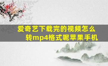 爱奇艺下载完的视频怎么转mp4格式呢苹果手机